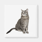 Abyssinian Cat Square Magnet (Vorne)