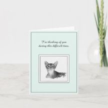 Abyssinian Cat Sympathy Card