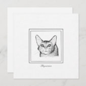 Abyssinian Cat Zeichnend flache Note Card Mitteilungskarte (Vorne/Hinten)