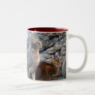 Abyssinian Cats Brother and Sister Zweifarbige Tasse