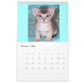 Abyssinian Cats Kalender (Feb 2026)