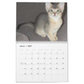 Abyssinian Cats Kalender (Mär 2027)