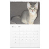 Abyssinian Cats & Kitten Kalender (Feb 2027)