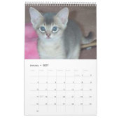Abyssinian Cats & Kitten Kalender (Jan 2027)