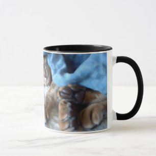 Abyssinian Chat Sleeping Tasse