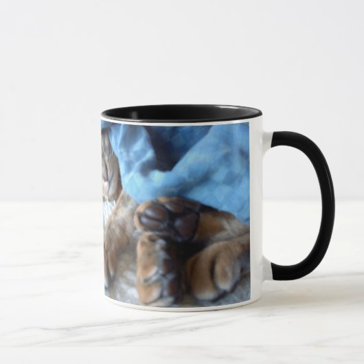 Abyssinian Chat Sleeping Tasse (Rechts)