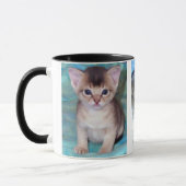 Abyssinian Chat Sleeping Tasse (Links)