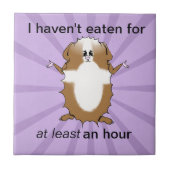 Abyssinian Guinea Pig Comic Fliese (Vorderseite)