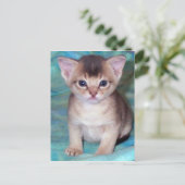 Abyssinian Kitten Postcard Postkarte (Stehend Vorderseite)