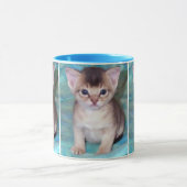Abyssinian Kitten Tasse (Zentrum)