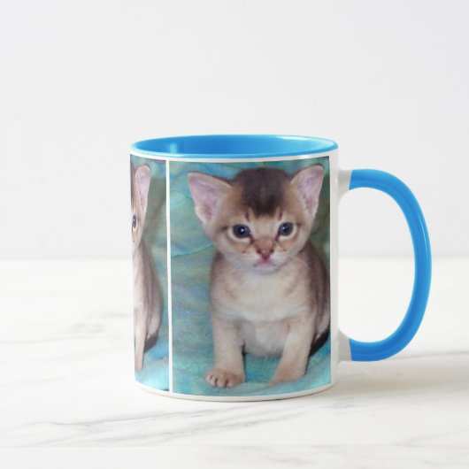 Abyssinian Kitten Tasse (Rechts)