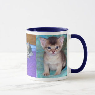 Abyssinian Kittens Tasse