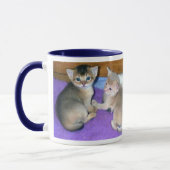 Abyssinian Kittens Tasse (Links)