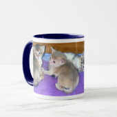Abyssinian Kittens Tasse (Vorderseite Links)