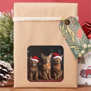 Abyssinier am Kamin Weihnachten Quadratischer Aufkleber
