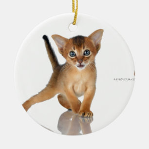 Abyssinische Katze Keramikornament