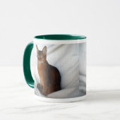 Abyssinische rötliche weibliche Katze Tasse (Vorderseite Links)