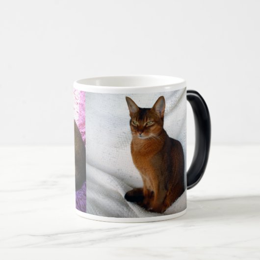 Abyssinische rötliche weibliche Katzen-Tasse Verwandlungstasse (VorderseiteRechts)