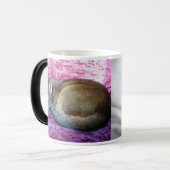 Abyssinische rötliche weibliche Katzen-Tasse Verwandlungstasse (Vorderseite Links)