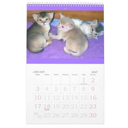 Abyssinischer Kätzchen-u. Katzen-Kalender Kalender (Jan 2027)