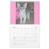 Abyssinischer Kätzchen-u. Katzen-Kalender Kalender (Mär 2027)
