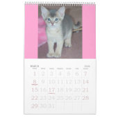 Abyssinischer Kätzchen-u. Katzen-Kalender Kalender (Mär 2026)