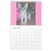 Abyssinischer Kätzchen-und Katzen-Kalender Kalender (Mär 2027)