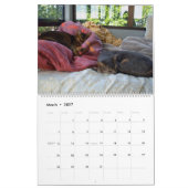 Abyssinischer Schlafenkatzen-Kalender Kalender (Mär 2027)