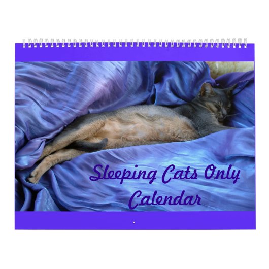 Abyssinischer Schlafenkatzen-Kalender Kalender (Titelbild)