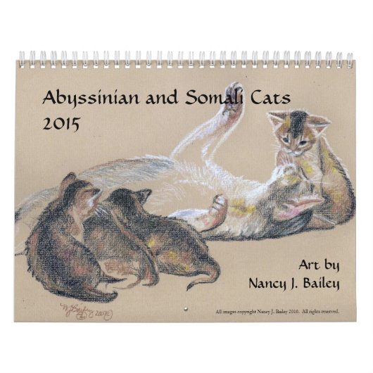 Abyssinischer und somalischer Kalender der (Titelbild)
