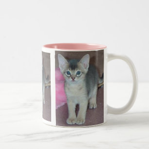 Abyssinisches Kätzchen sechs Wochen alt Zweifarbige Tasse