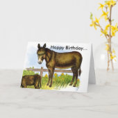 ABZ50025, alles Gute zum Geburtstag… Karte (Gelbe Blume)