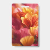 Abzeichen Ausweis (Rückseite)