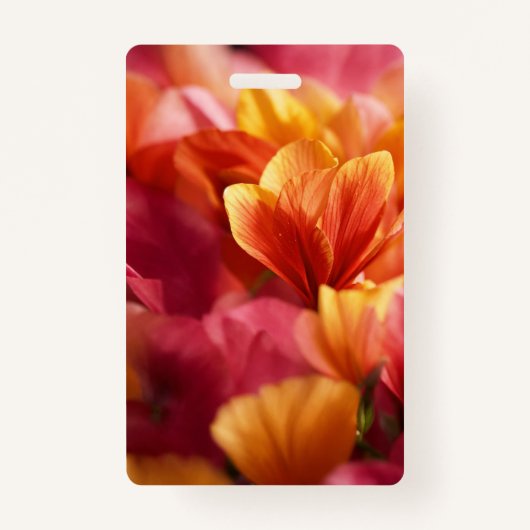 Abzeichen Ausweis (Rückseite)