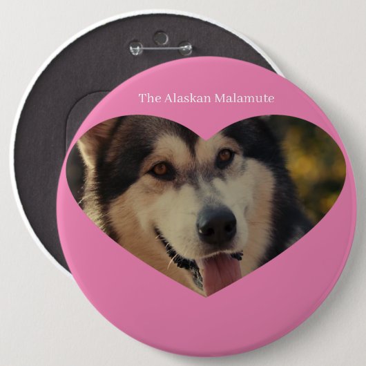 Abzeichen Button (Vorne & Hinten)