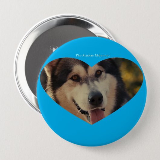 Abzeichen Button (Vorne & Hinten)