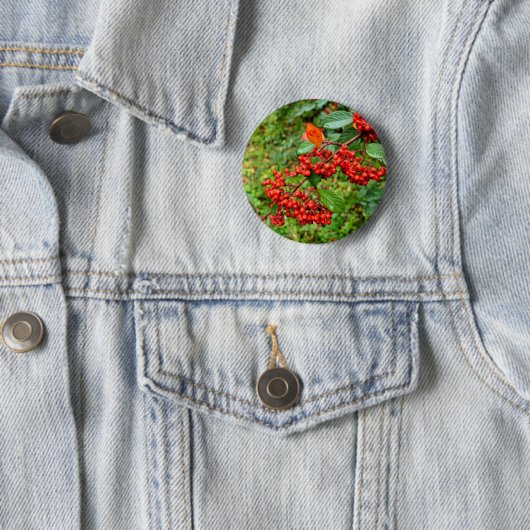 Abzeichen Button (Beispiel)