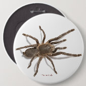 Abzeichen Button (Vorne & Hinten)