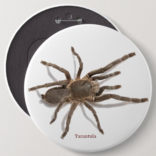 Abzeichen Button (Vorne & Hinten)