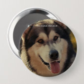 Abzeichen Button (Vorne & Hinten)