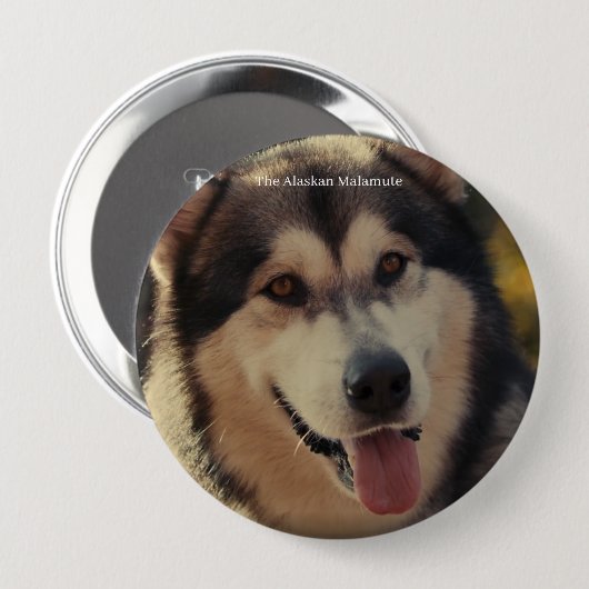 Abzeichen Button (Vorne & Hinten)