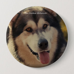 Abzeichen Button
