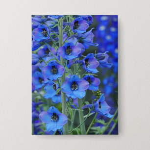 Abzeichen Delphinias Button