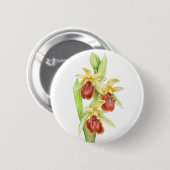 Abzeichen der frühen Spinnen-Orchideen Button (Vorne & Hinten)