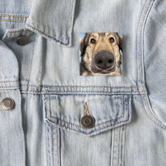 Abzeichen Dog Button (Beispiel)