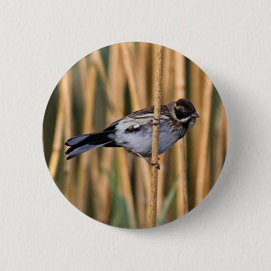 Abzeichen für die Rangierschiene Button (Vorderseite)