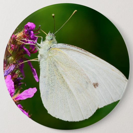 Abzeichen mit Schmetterling Button (Vorderseite)