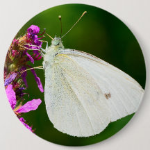 Abzeichen mit Schmetterling