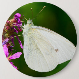 Abzeichen mit Schmetterling Button