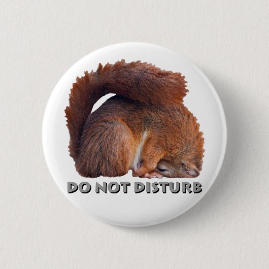 Abzeichen nicht stören button (Vorderseite)